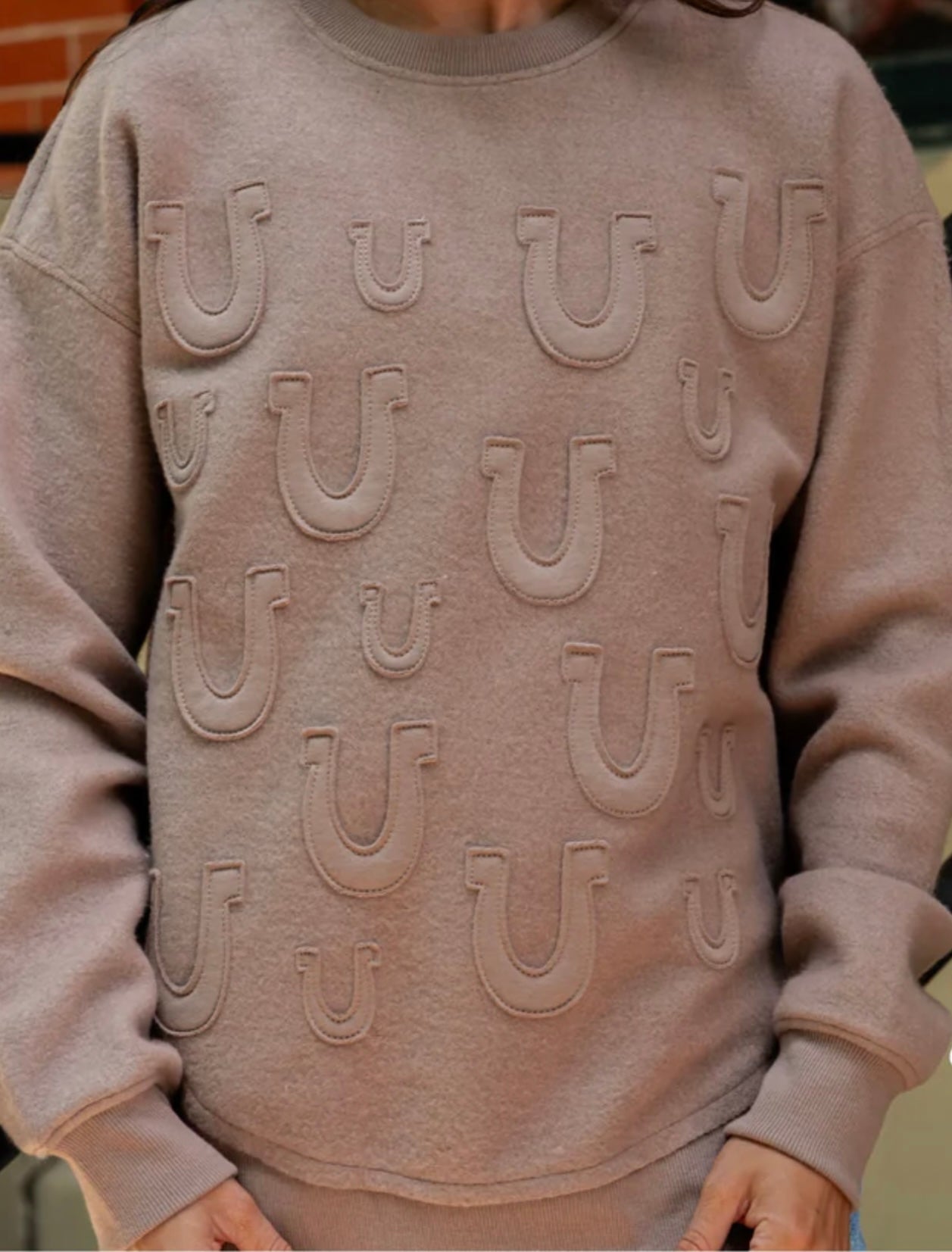 Horseshoe Mocha sweatshirt