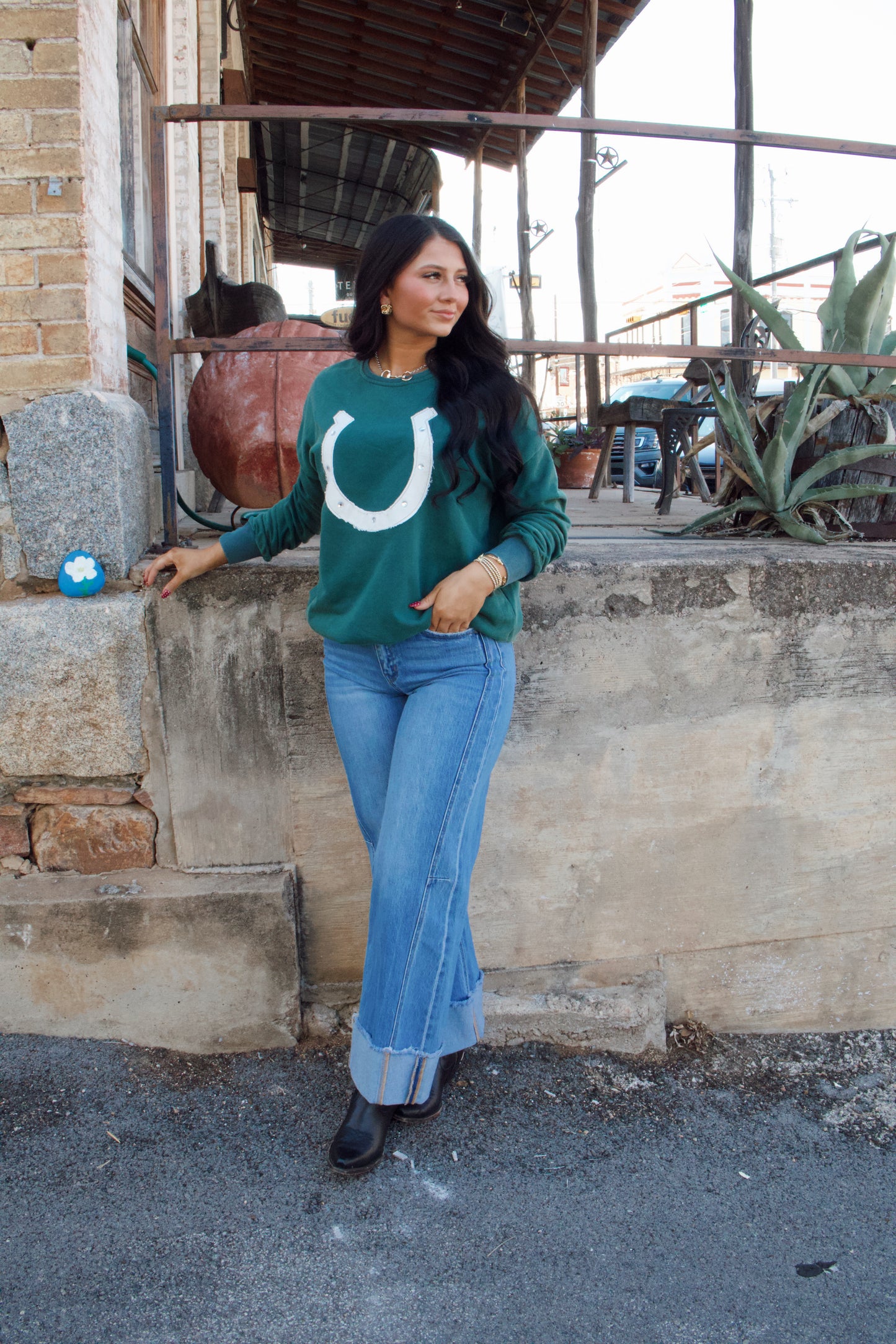 Teal Horse shoe sweatshirt