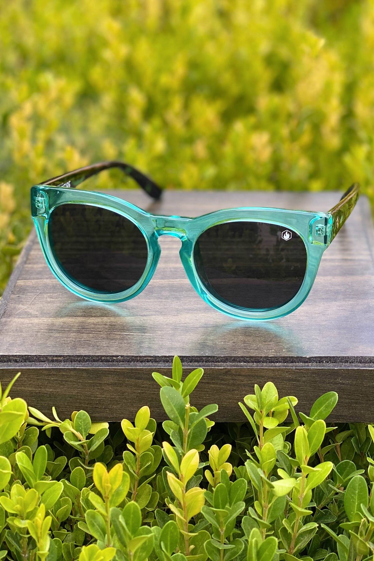 Cholla Sunglasses in Turquoise