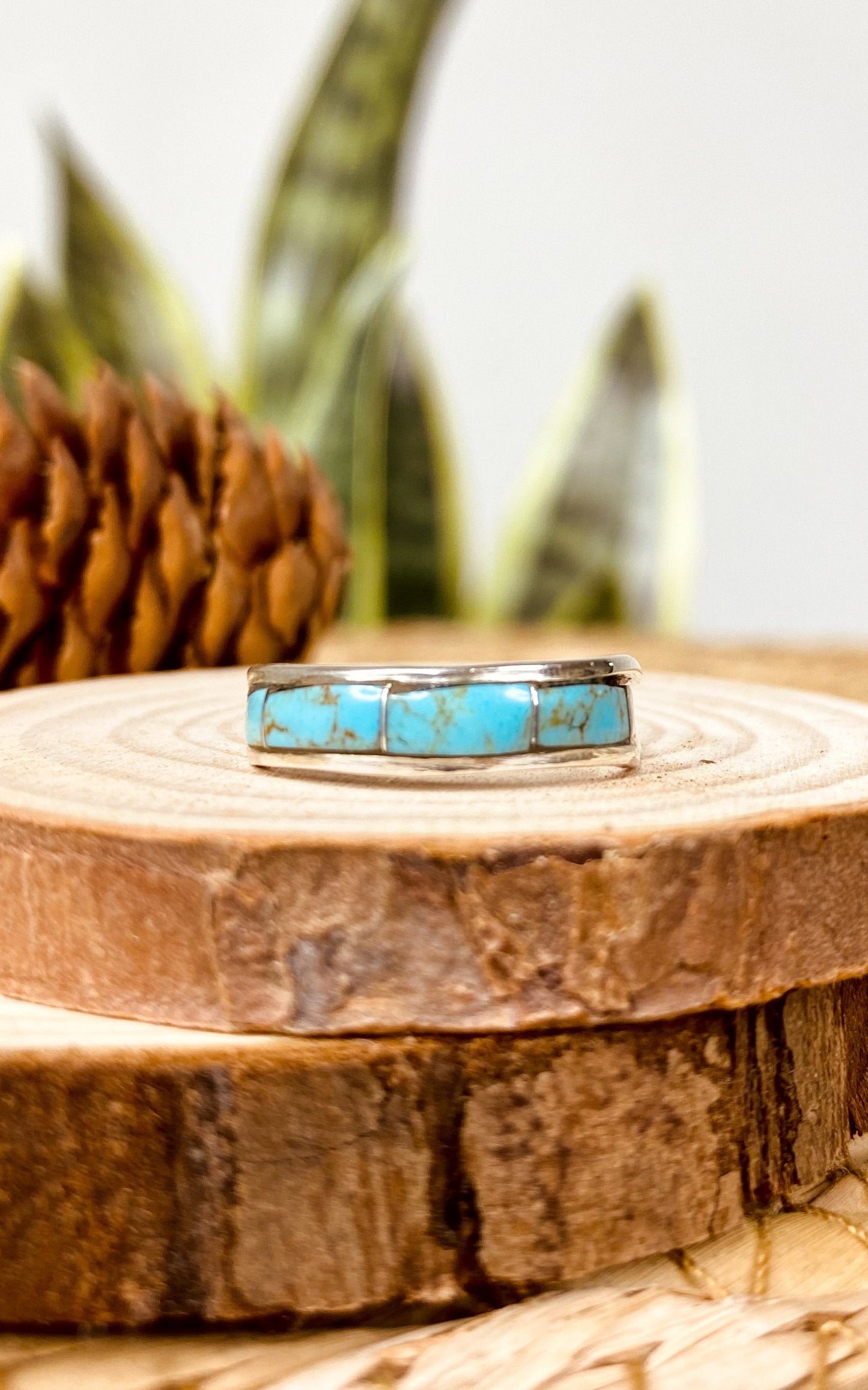 Turquoise Band by Debbie Livingston