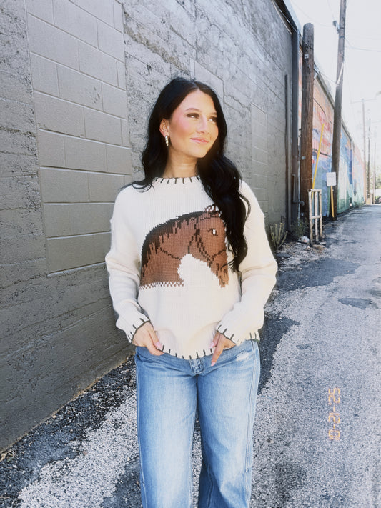 Horse Sweater