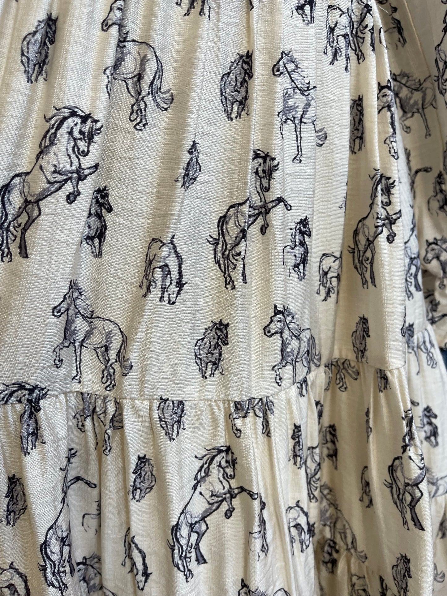 Western dreams  Dress