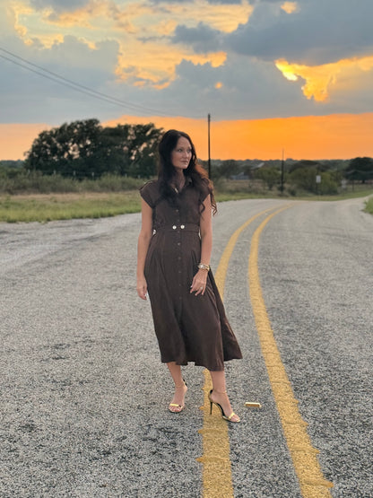 Fall Days Brown Dress