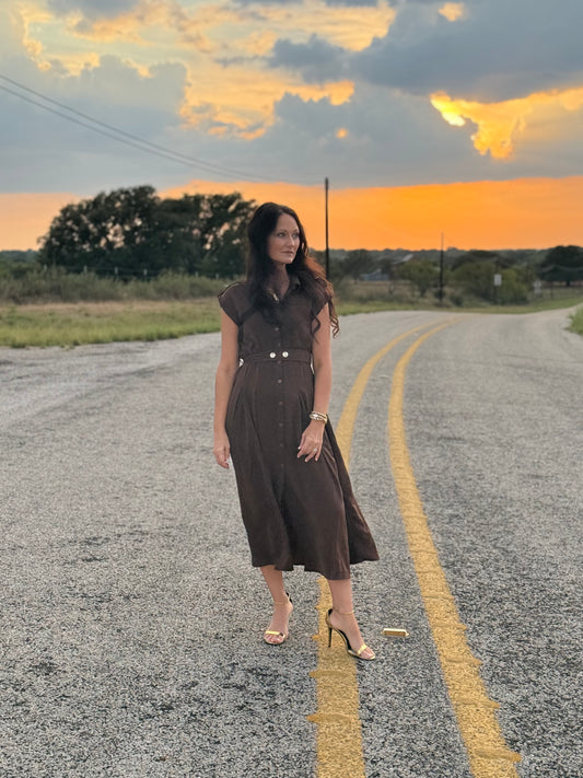 Fall Days Brown Dress