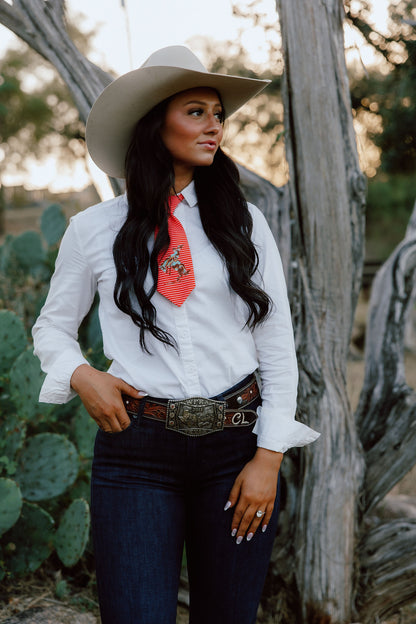 Bronc Striped tie