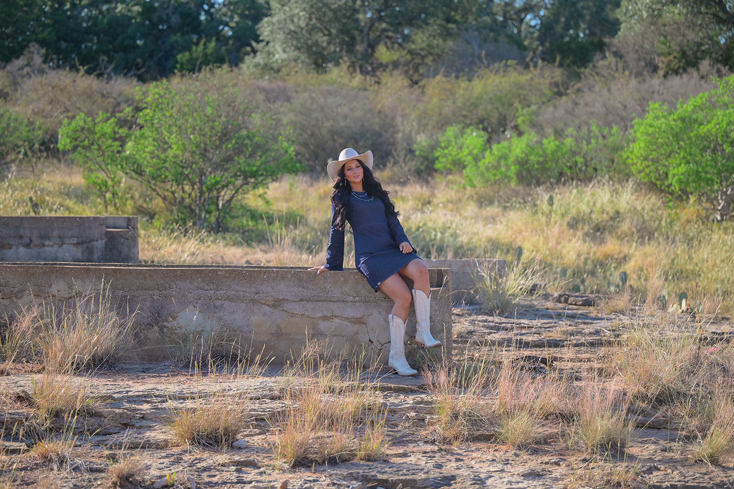 Stetson Denim Dress