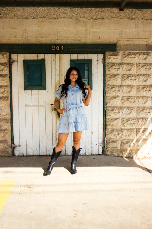 Daisy denim dress