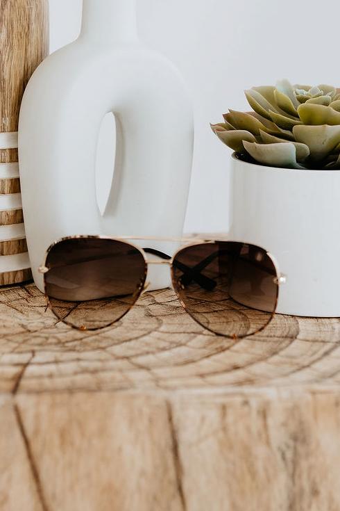 American Bonfire Hollywood Sunglasses in Gradient Brown